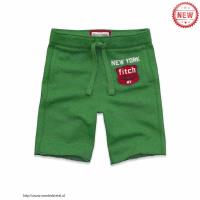 heren abercrombie and fitch 1953 ny athletic shorts groen On Sale Betaalbare 6afmy835